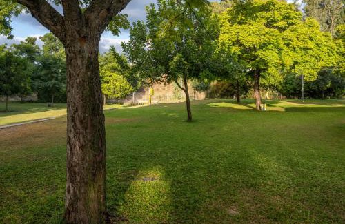 Kfar Masaryk Hotel | Kibbutz Kfar Masaryk Country Lodging