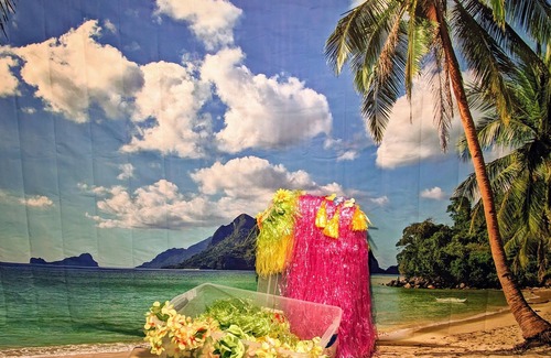 Vermilion House | Kiki's Tiki - Aloha Ohio! Pet friendly Family Getaway to Lake Erie