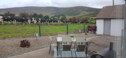 County Waterford House | Kilbrien Mountain view