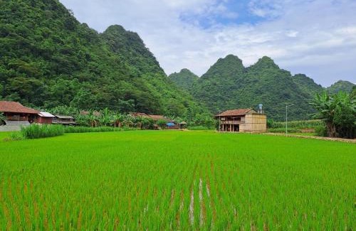 Quang Uyen Apartment | Kim
