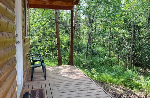 Cooper Landing Cabin | King Salmon Cabin - Cute Family Cabin at Eagle Landing Resort