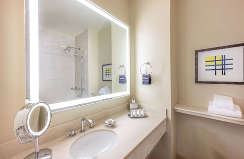 Redwood Shores Hotel | King Water View Room at Grand Bay San Francisco Hotel, Pet-friendly Property