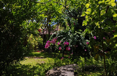 Purwakerti House | Kirana Homestay - Dusk Bungalow - a beautifull place for amazing vacations