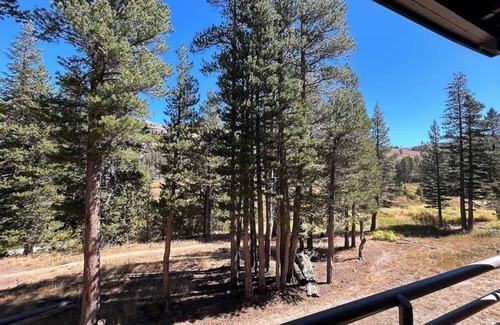 Kirkwood Condo | Kirkwood Studio – Full Kitchen & Meadow Balcony
