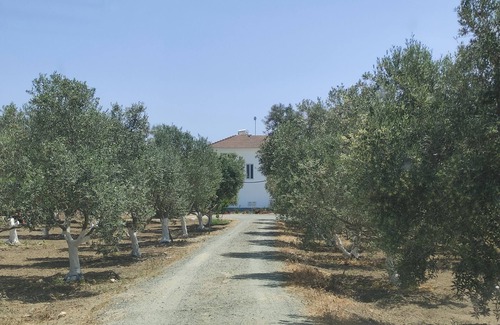 Softades Villa | KITI VILLAGE VILLA CYPRUS (salt-water pool, 6 bedrooms, Larnaca)
