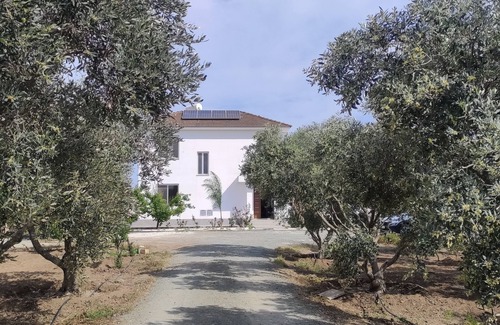 Softades Villa | KITI VILLAGE VILLA CYPRUS (salt-water pool, 6 bedrooms, Larnaca)