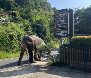 Yatiyantota Hotel | Kitulgala Ebony Riverside Resort