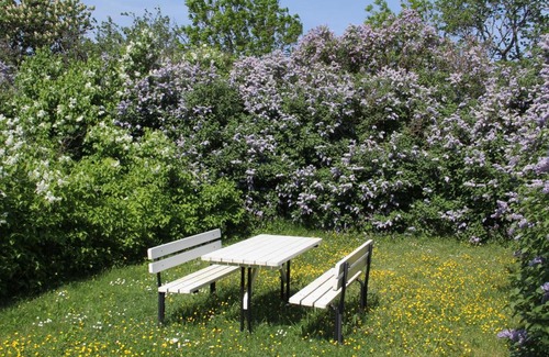 Storlinge Apartment | Klockaregården i Högsrum