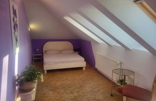 Ivancna Gorica House | Kmečka Vila