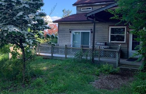 Central Lake House | KNOTTY & NICE - CENTRAL LAKE - PET FRIENDLY