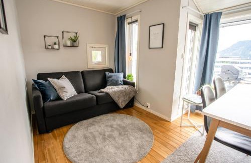 Møre og Romsdal House | Koie Standard