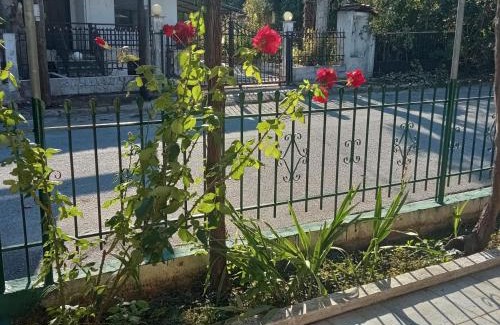 Kilkis Apartment | Kolhida home