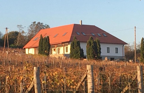 Somlovasarhely Bed & Breakfast | Kolonics Pincészet Vendégház Somló