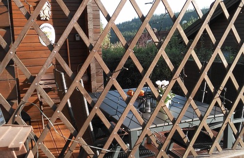 Viechtach House | Komfortables Ferienblockhaus Nr. 27 -56 qm- bis 4 Personen Viechtach Jägerpark