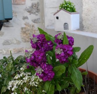 Kroustas House | Konstantis