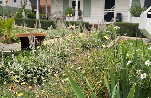 Korumburra Cottage | Korumburra Farmhouse - gateway to Wilson’s Prom and Inverloch. Pet friendly!
