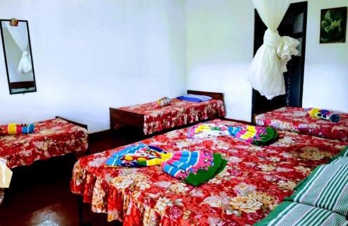 Koslanda House | Koslanda Rest & Homestay