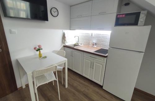 Debrecen Apartment | Kossuth Garden