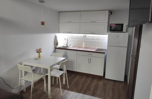 Debrecen Apartment | Kossuth Garden