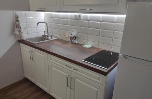Debrecen Apartment | Kossuth Garden