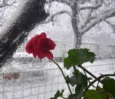 Tushemisht House | Kristina Mitllari 1