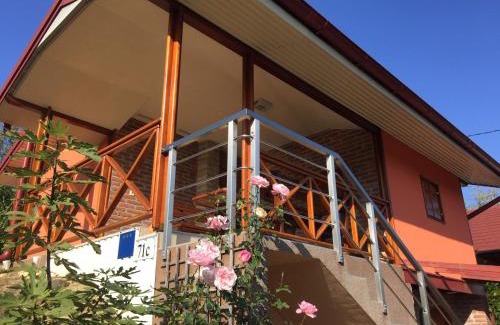 Donji Koncovcak House | Kuća za odmor "Nedeljko"/Holliday hause "Nedeljko"