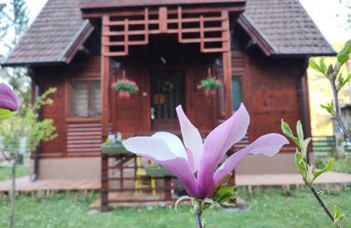 Central Serbia House | Kuća za odmor Stanišić