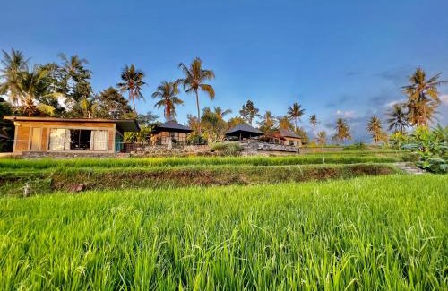 Sawan House | Kubu Astina
