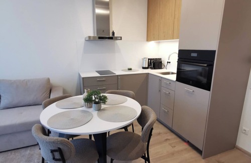 Palanga Apartment | Kunigiskes Apt- Sleeps 4 - Pool & Hot Tub