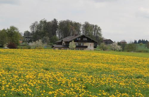 Bad Endorf House | Kurparkpension Stephan