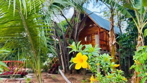 Sigiriya Cabin | Kurulu Kele Family Tree House