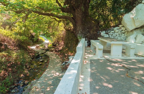 Karavas Apartment | Kythira Echoes · Sylia Apartment with nature views