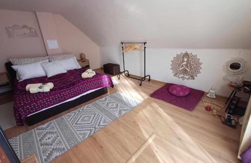 Paradsasvar Apartment | LélekZug Mátra