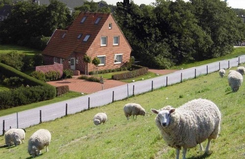 Tossens Apartment | Lüttjes Diekhuus - Ferienwohnung Strandkorb