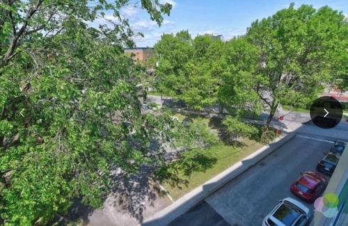 Centre-Ville Condo | L'acadien, secure condo, gym, balcony and terrace