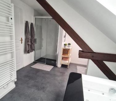 Bitche Apartment | l'Alchimiste