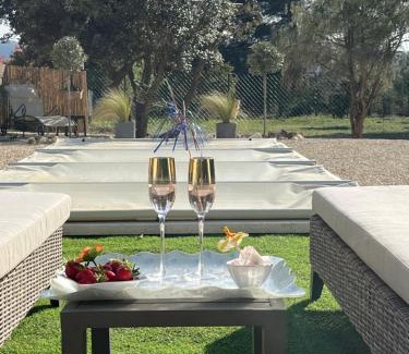 Cadenet Apartment | L'AMANDERAIE PISCINE PRIVEE à côté de LOURMARIN LUBERON