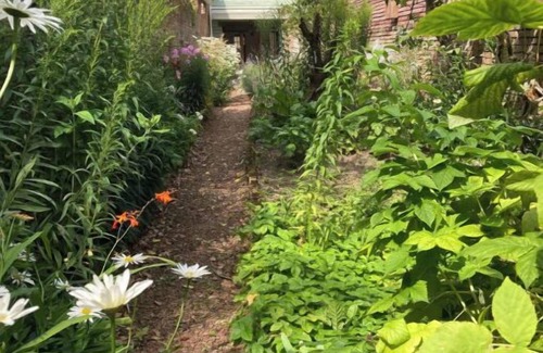 Henriville House | L'Amiénoise and its vegetable garden - Centre - Gare