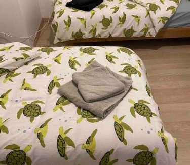 Chateaubriant Apartment | L'appartement des tortues