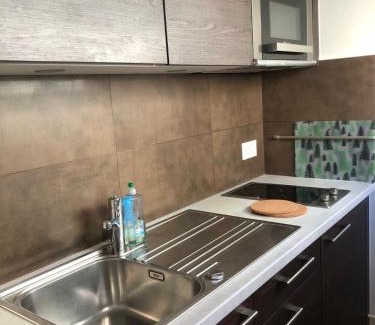 Paquis Navigation Apartment | L’appartement du père Noël