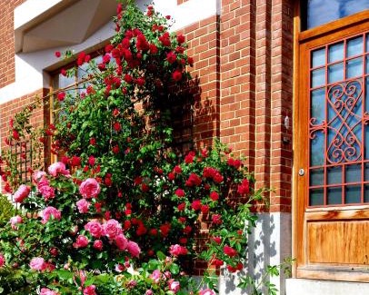 Dison Bed & Breakfast | L'Atelier Bed and Breakfast