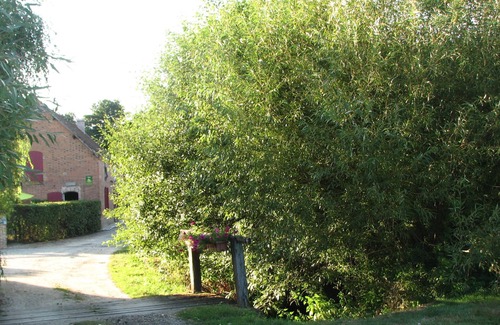 Vannes-sur-Cosson House | L'Ecurie - Solognese house with pond and horse meadows