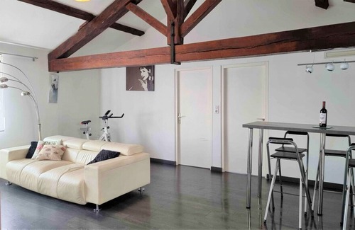 Albi Apartment | L'Escapade Albigeoise