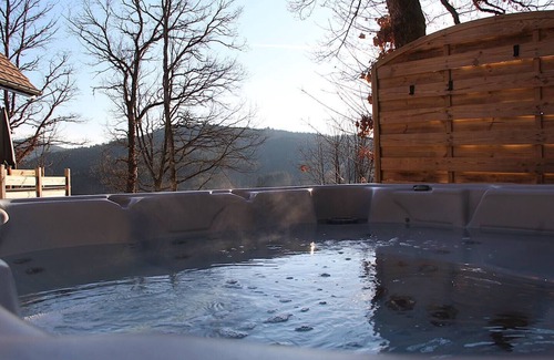 Colroy-la-Roche House | L'Evasion Verte: 4/6P gîte with private SPA and terrace