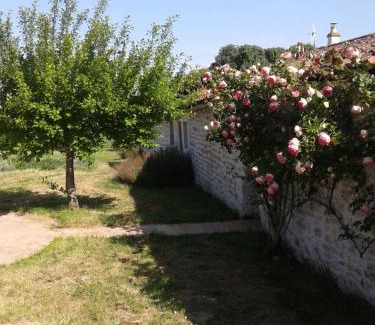 Montpellier de Medillan House | L'Hégoa