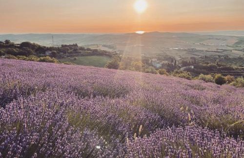 Serrungarina Bed & Breakfast | L'Infinito