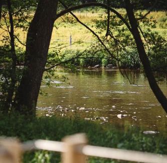 La Roche-en-Ardenne Cabin | L'insolite par La Claire Fontaine