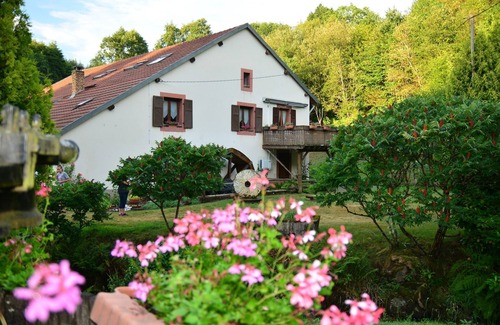 Ban-de-Sapt Apartment | L'Ormont - 4 rooms 8 people