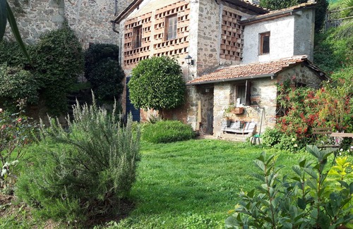 Petrognano Cottage | L'Orto dei Bruchi: Il Timo