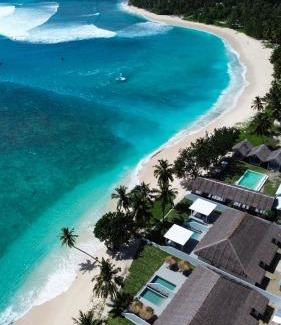 Katiet Resort | La Belle Hollow Trees